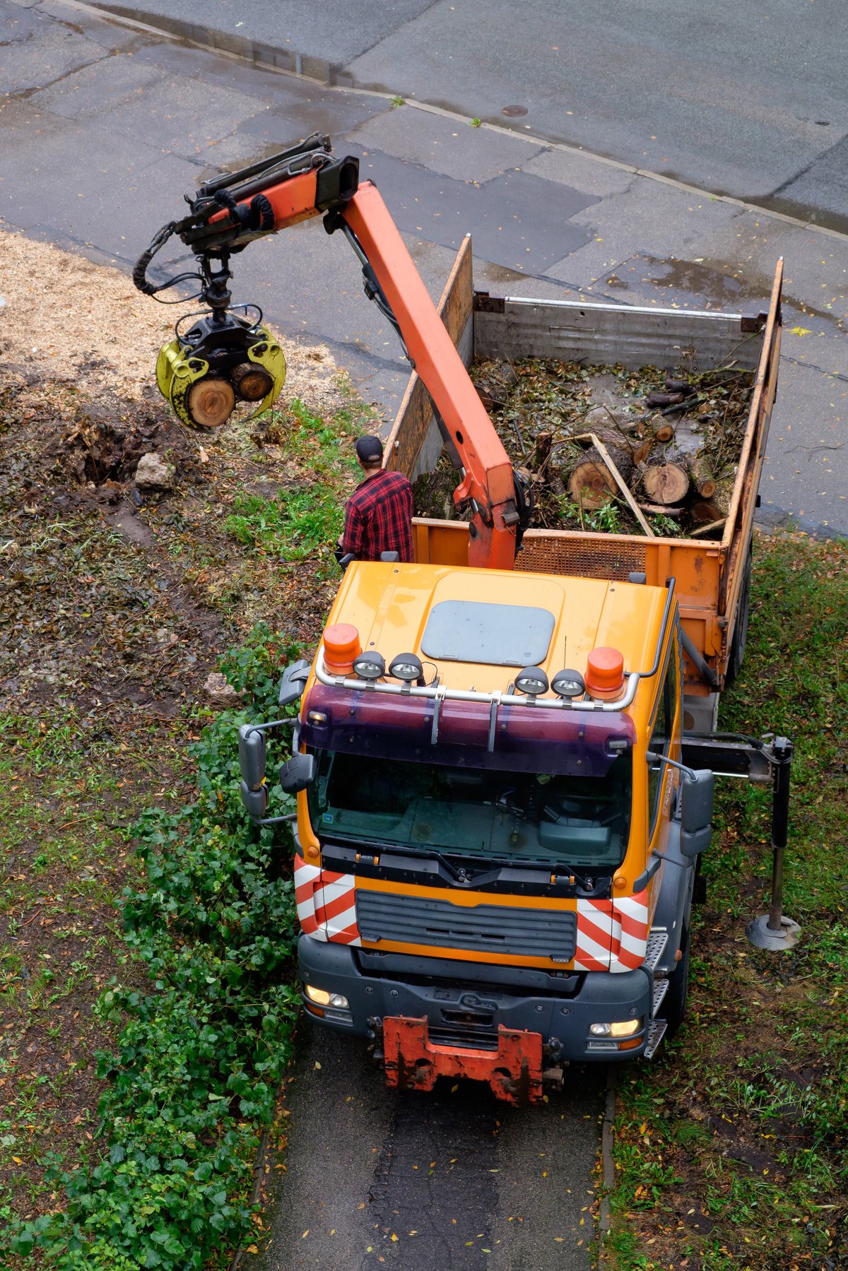 Professional tree service crew with equipment