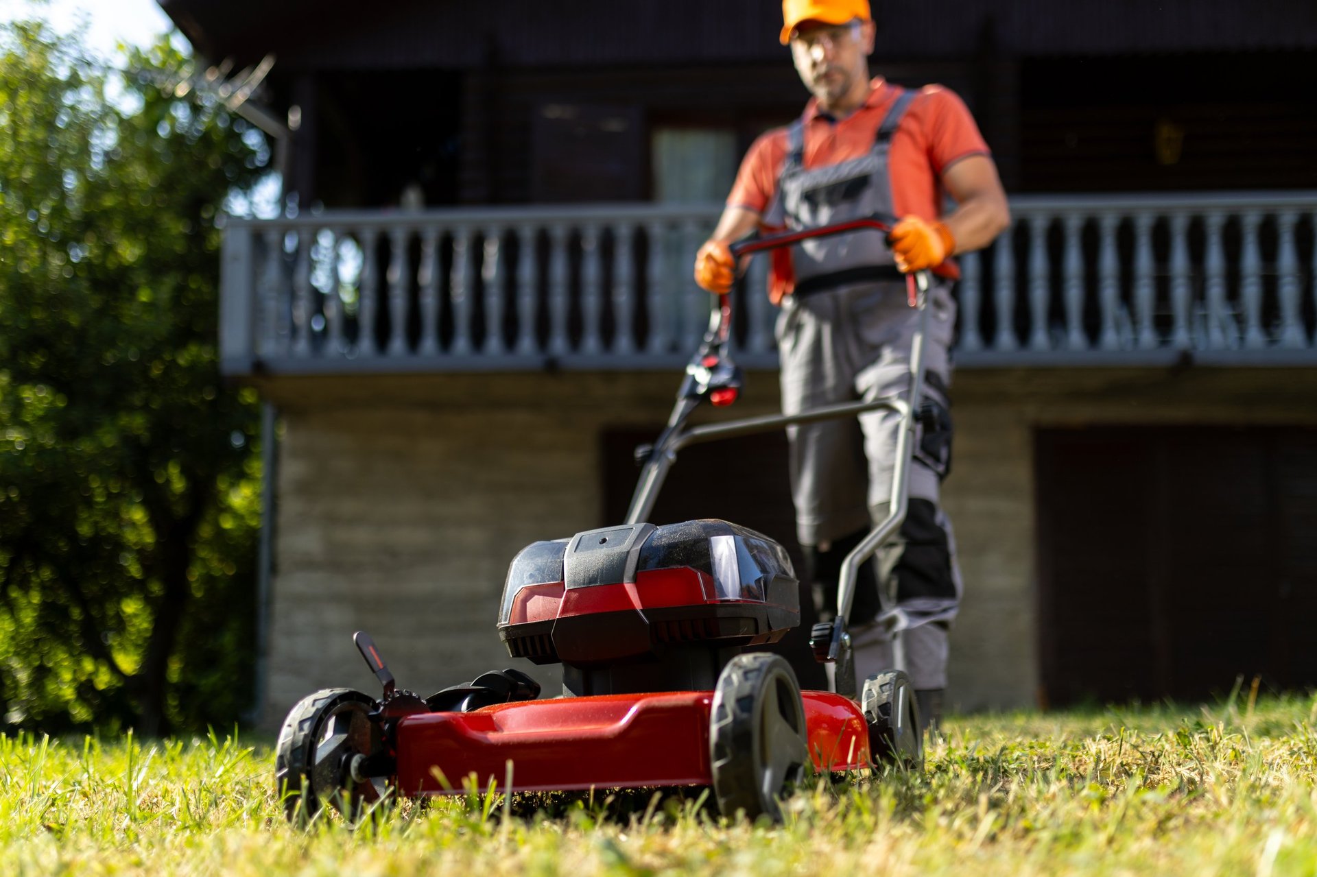Professional lawn care